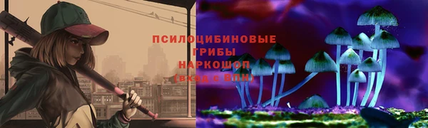 гидропоника Белокуриха