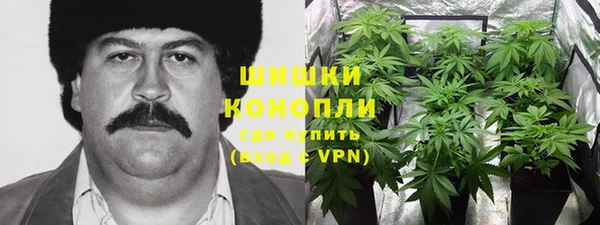 гидропоника Белокуриха