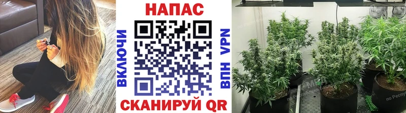 omg ССЫЛКА  Омск  Каннабис Bruce Banner 